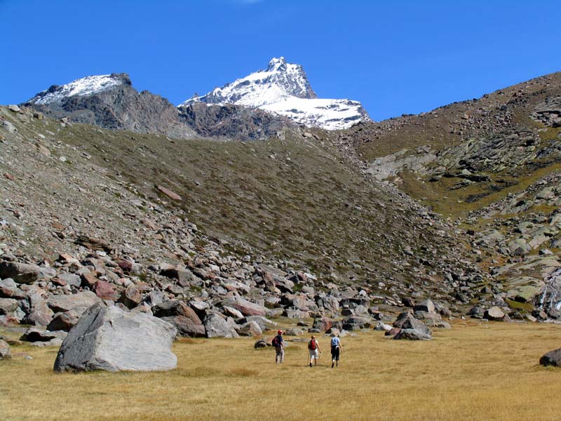 15 im Hintergrund das Rimpfischhorn