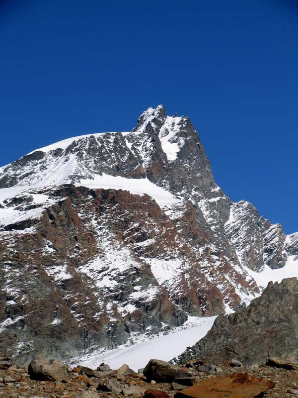 22 Rimpfischhorn