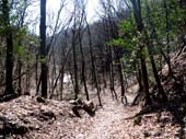 47 und jetzt ein schoener Trail von Dumenza