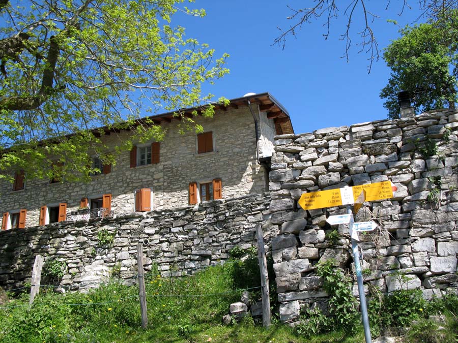 22 Alpe Bonella auf 1100 Hm
