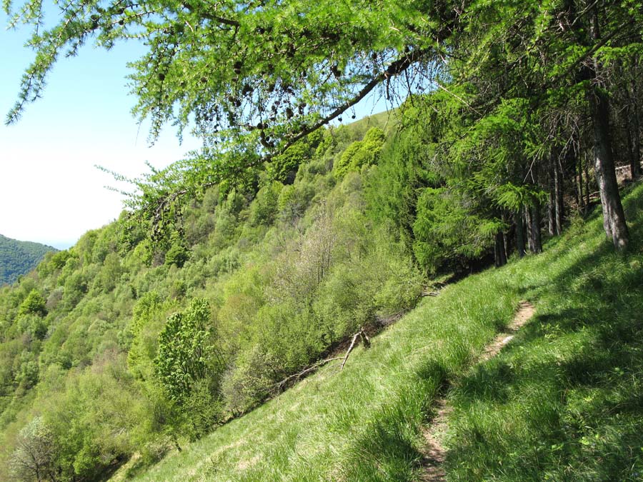 27 schoene Trails