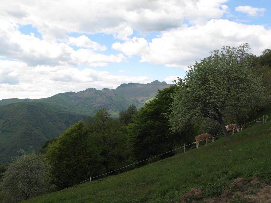 45 Monte Generoso