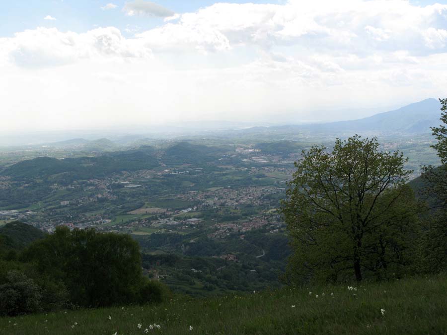 46 Mendrisiotto