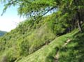 27 schoene Trails