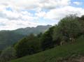 45 Monte Generoso