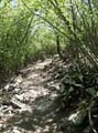 21 Trails