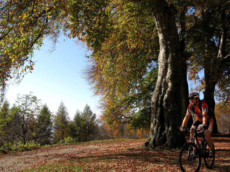 09 Herbstpracht