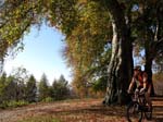 09 Herbstpracht