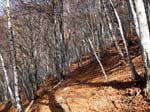 13 schoene Trails