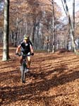 20 auf zum Lema