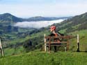 03 der Heuer und das Nebelmeer