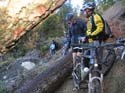 05 wo ist denn der schoene Trail geblieben