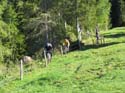 09 Kemmeriboden