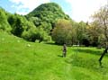 17 auf der Alpe Bogo