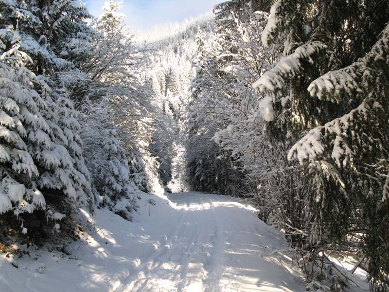 04 Winterstimmung