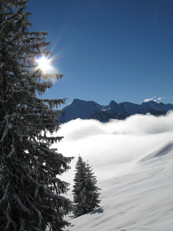 11 ein super Nebelmeer