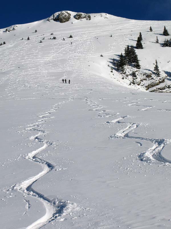 31 Super Abfahrt im Pulverschnee