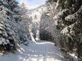 04 Winterstimmung