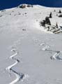 31 Super Abfahrt im Pulverschnee