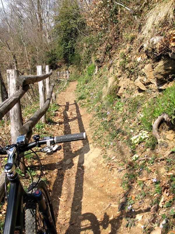 32 steil schmal aber schoen