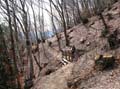 08 einfach und schoener Trail