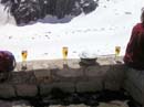 45_prost