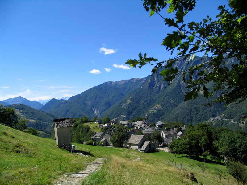 14_Rasa_im_Hintergrund_Verdasio