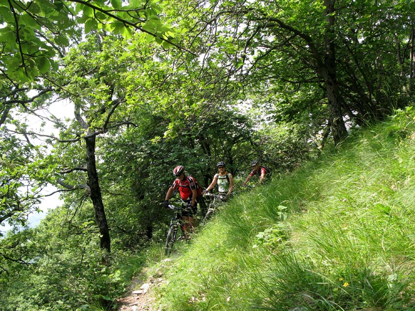 22 schoene Trails