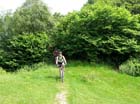 36 und jetzt nach Balerno