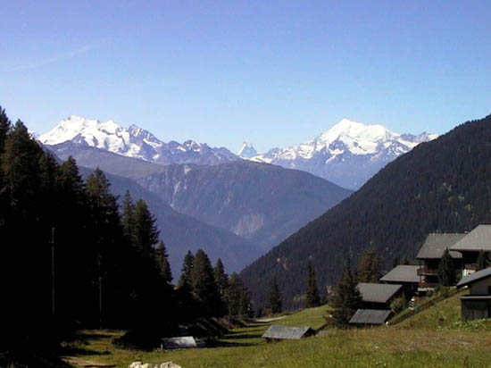 AUT_6846
