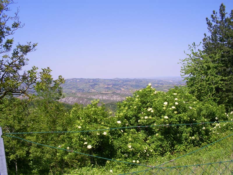 53 Aussicht vom Ciola