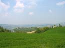51_im_Hintergrund_der_Barbotto