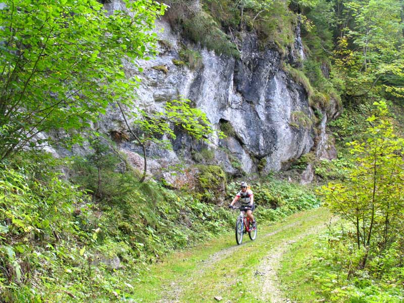 14_un_jetzt_hinunter_nach_Saanen