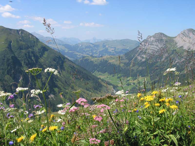 12a_Blick_ins_Faermelthal_hinunter