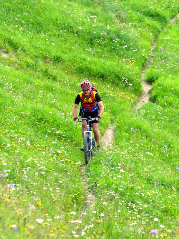 15_dr_Gaeschtu_oder_dr_Maunaloabiker