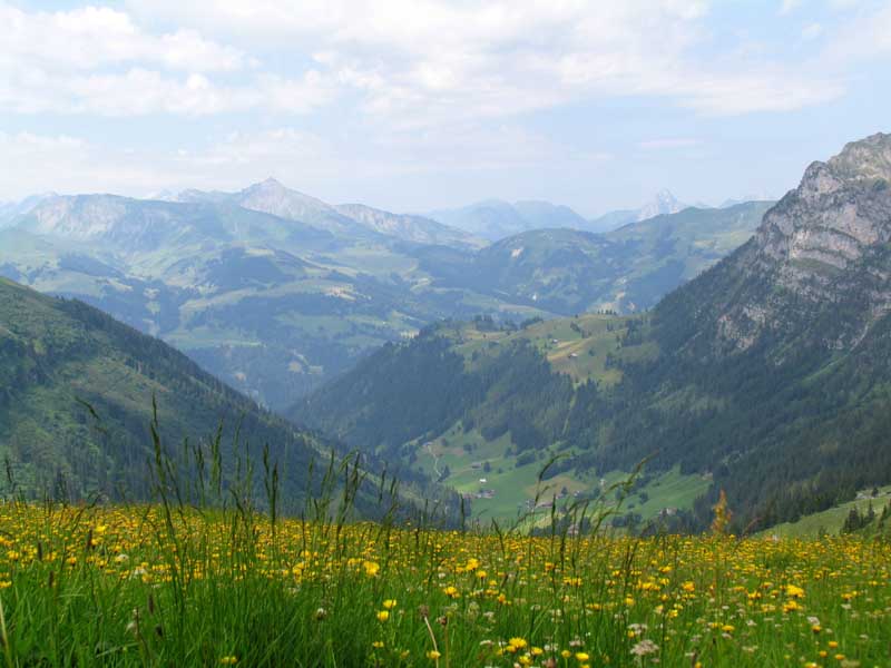 22_Faermelthal_von_der_Grimmifurge