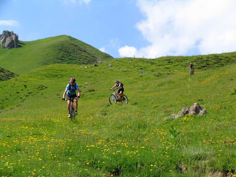 29_SingleTrail_hinunter_ins_Diemtigthal