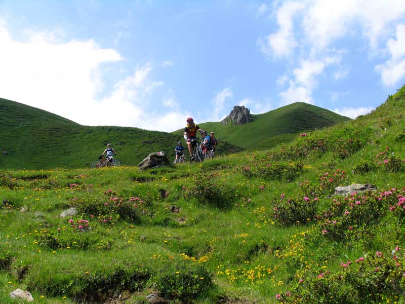 31_Alpenrosen_und_dazwischen_Weissensteiner_Biker