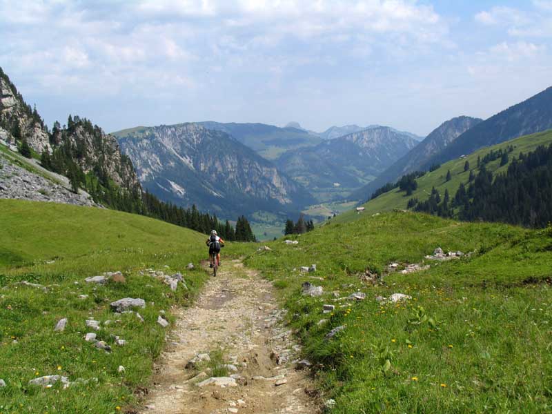 34_die_Wege_werden_breiter