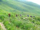 13_SingleTrail_an_der_Grimmifurge