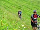 16_Biken_im_Blumenmeer