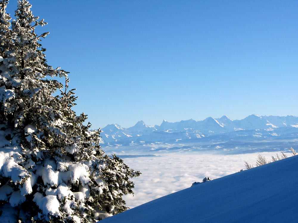 04c voila Blick ins Berneroberland