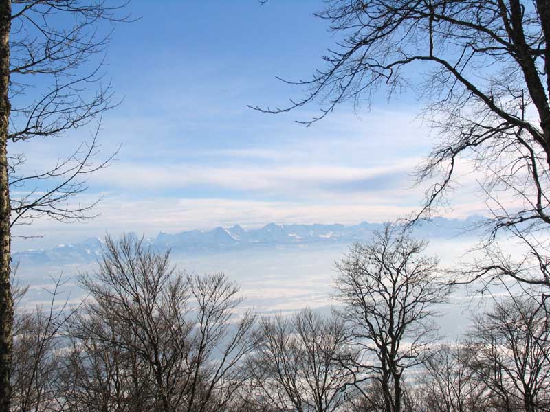 26b_2005_11_26