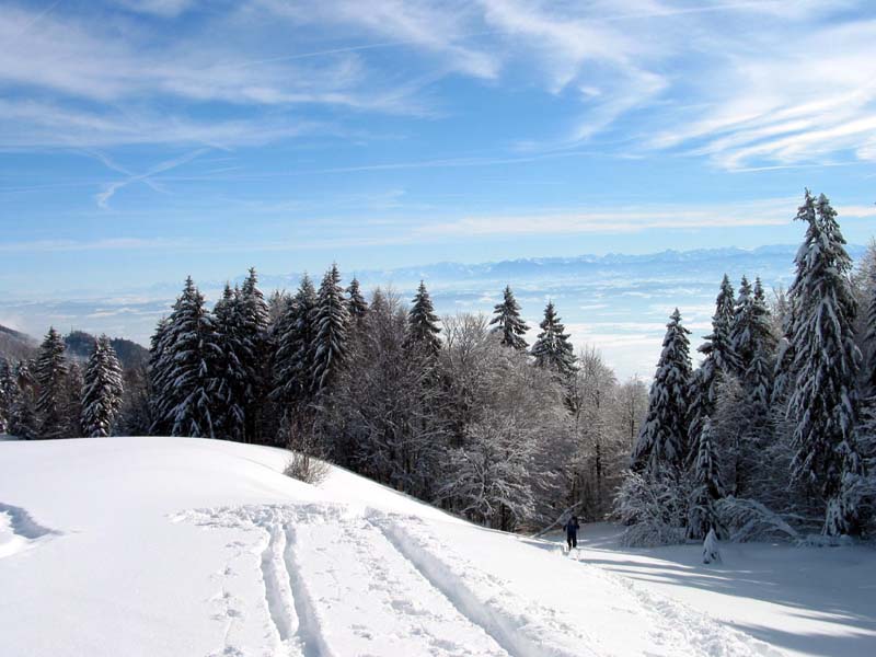 06_Blick_in_Richtung_Oberdorf