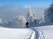 IMG_0100