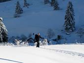 IMG_0119