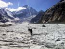 15 endlich haben wir den Gletscher gefunden