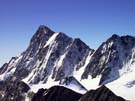 44 Finsteraarhorn
