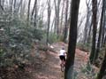 03 vor Carrabia