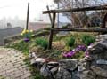 19 der Fruehling ist da